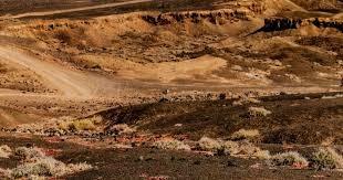 火箭98-111国王！阿门31分成毒药，杜兰特眼神空洞，西部第七警钟拉响